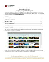 guia-usuario-BDI 2025.pdf