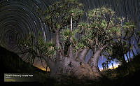 32_PLANTAS_1_2017-02-16_135536_10486.jpg