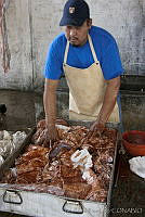 ARL00102 Hecelchakan, Campeche.jpg