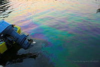 FBA0562 Tabasco, México.jpg