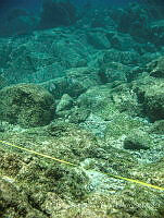 EFBP032 Loreto, Baja California Sur.jpg