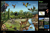 poster_bosque.jpg