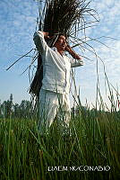 3R 01299 Recreacion de la construccion de una chinampa.jpg