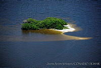 MVer0006 Mandinga Grande, Veracruz.jpg