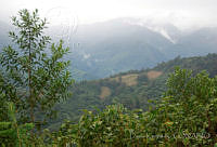 DK0616 Sierra Juárez, Oaxaca.jpg