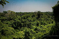 FBA0649 Comalcalco, Tabasco.jpg