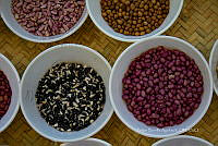 FBA0866 Phaseolus vulgaris y Zea mays.jpg