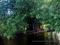 MRR055 Nautla, Veracruz.jpg