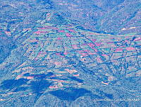 OOG0201 Oaxaca, México.jpg