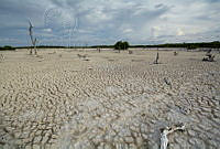 IMDOC1903 Yucatán, México.jpg