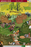 NAHUATL pinos.jpg