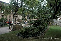 DK1697 Morelia, Michoacán (2).jpg