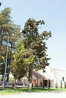 PRB0228 Tepotzotlán, Estado de México.jpg