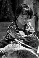 JCF02 Barranca del Tule, Jalisco.jpg