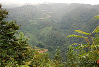 DK0614 Sierra Juárez, Oaxaca.jpg