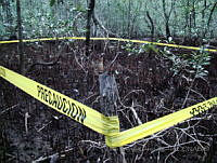 LRGA017 Ostión, VER. Coatzacoalcos, Veracruz.jpg