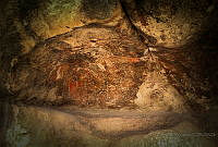 FBA0175 RB Cuatro Ciénegas, Coahuila.jpg