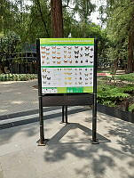 IMG-20240902-WA0029.jpg