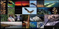 2Collage_ Biodiversidad.jpg