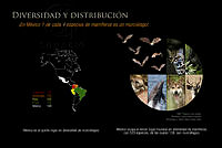 03 Diversidad y Distribución.jpg