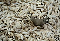 IMDOC2054 Calabaza.jpg