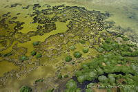 HBB001 Lázaro Cárdenas, Quintana Roo.jpg