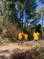 XR003 002 Invendio forestal en RB Sierra Tecuani.jpeg