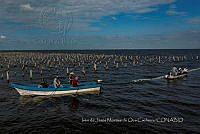 IMDOC4145 Panorámicas de INAPESCA.jpg