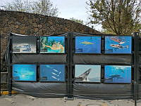 IMG-20210507-WA0022.jpg