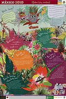 MIXTECO bromelias.jpg