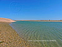 NBA0108 Puerto Peñasco, Sonora.JPG