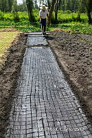 3R 01375 Almacigo chapines.jpg