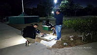 WI005 0087 Tliltocatl schroederi.jpg