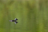 msicilia_MG_9190.jpg