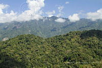 MASM06878 El Triunfo, Chiapas.jpg
