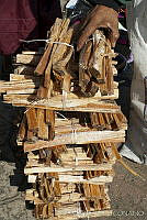 ARS00338 Pinus montezumae.jpg