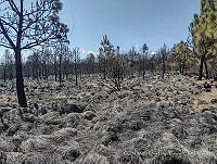 VR001 07 Santiago Tlacotepec.jpg