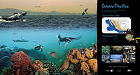 Pacificopapirolas150x80.jpg