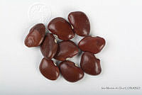 IMDOC2544 Phaseolus lunatus.jpg