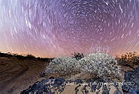 BETB002 El Pinacate, Sonora.jpg