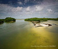 HRB001 Tulum, Quintana Roo (2).jpg