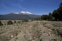 IMDOC0367 Parque Nacional Iztaccíhuatl-Popocatépetl, Estado de México.jpg