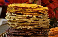 FBA0902 Zea mays.jpg