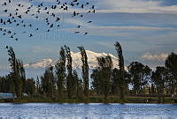 JLGR02 Xochimilco, Ciudad de México.jpg