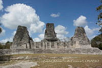 ZAPF0556 Calakmul, Campeche.jpg