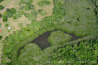 AHSC001 Aldama, Tamaulipas (2).jpg