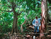 FN005 9 059 Selva baja caducifolia.jpg