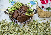 IMDOC3315 Myrtillocactus geometrizans.JPG