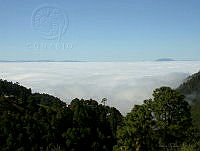 MGvarios71 Oaxaca, México.jpg