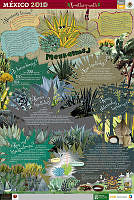 NAHUATL magueyes.jpg